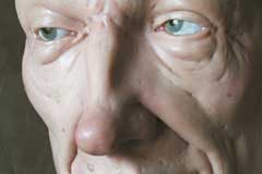 Lifesize - Lebensgross