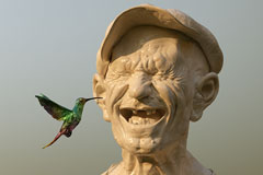 Created under VR in Kodon